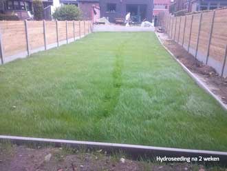 hydroseeding na 2 weken